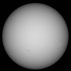 Sonne im Weißlicht am 19. August 2025 um 15:58 MESZ