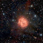 IC 5146  (Kokon-Nebel)