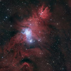 NGC2264 (Weihnachtsbaumnebel) - 3 Stunden - RGB+Schmalband - OSC ToupTek 2600 Color - Skywatcher 8" Quattro f/4
