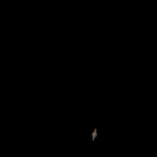 Saturn