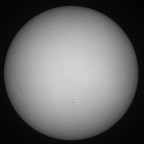 Sonne im Weißlicht am 20. August 2025 um 16:04 MESZ