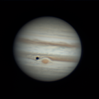 Jupiter, Ganymedschatten, GRF 01.05.2026 im Maksutov 275/3850