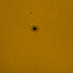 Sonne H-alpha mit Fleck