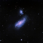 NGC4490 und NGC4485 mit dem C11