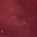 Nordamerikanebel NGC 7000 (mein Erster mit Autoguider)