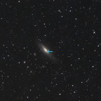 Neue Supernova SN2026aaiv in NGC 7331 (Pegasus)