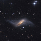 NGC 660 QSO