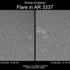 Sonne in H-alpha am 24.06.2023 - Flare in AR 3337