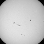 Sonne im Weißlicht vom 4.4.2025