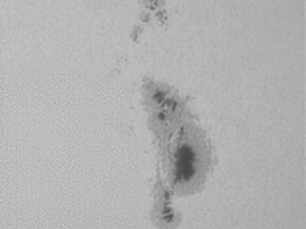 Sonnenfleck 25.02.2024