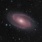 M81