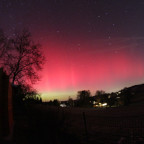 Polarlichter im Südschwarzwald (Königsfeld) - 19.01.2026