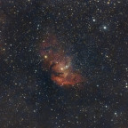Sh2-101 "Tulpennebel" - 49 Minuten mit dem modifizierten Origin