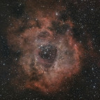 NGC2237 "Rosettennebel" - 55 Minuten mit dem Omegon Pro 72/400 APO und ASIAir plus