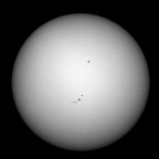 Sonne 27.11.2025 - 8" Newton Skywatcher Quattro - Touptek 2600 Color - Weißlicht