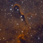 IC 1396A - Der Rüssel