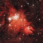 Konusnebel NGC 2264 mit Weihnachtsbaumnebel