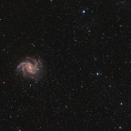 NGC6946, die Feuerwerksgalaxie