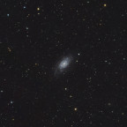 NGC2403 (widefield)