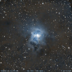 NGC 7024 - Iris Nebel