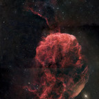 Quallennebel (IC 443) - 8 Stunden - nur RGB - OSC ToupTek 2600 Color - Skywatcher 8" Quattro f/4
