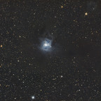 Irisnebel (NGC7023) - 32 Minuten  - OSC ToupTek 2600 Color - Skywatcher 8" Quattro f/4