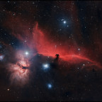 Horsehead