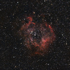 NGC 2244 (NGC 2239) - Rosettennebel