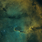 IC 1396 - Rüssel in SHO Premiere