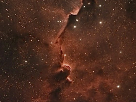 Elefantenrüssel mit Vespera pro Bitte. Kommentar lesen