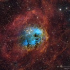 IC 410 Kaulquappen-Nebel