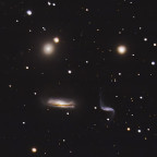 Hickson44 Gruppe: NGC 3190, 3193, 3187 & 3185