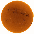 Ha-Sonne 05/06/26