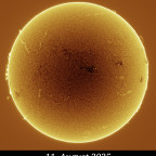 Sonne in H-Alpha vom 11.08.2025