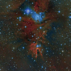 NGC 2264 neu bearbeitet von 2019; 8" f/4 Newton und Canon 77da mit IDAS V4 Filter; 360x32 sec;  nur mit Filter-Sternen