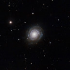 NGC3147 Galaxie