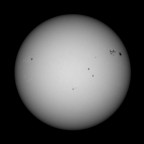 Sonne 08.02.2026 - 8" Newton Skywatcher Quattro - Touptek 2600 Color - Weißlicht