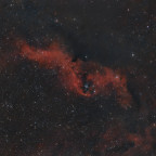 LDN 1584 und Umgebung - Auszug aus dem Orion-Widefield-Projekt