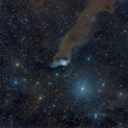 VdB152 (Reflexionsnebel) - 1 Stunde - RGB - OSC ToupTek 2600 Color - Skywatcher 8" Quattro f/4