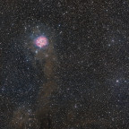 IC5146 "Kokon Nebel" / Collinder 470 im Schwan