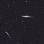 Walgalaxie NGC4631+Nachbarn
