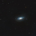 Die Sonnenblumengalaxie