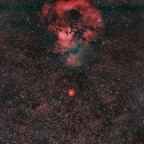 Fragezeichen-Nebel NGC 7822 Weitfeld: mit IDAS V4-Filter (60 nm GB +16 nm Rot); Samy 135mm, f/2, 43x4 min; 85% Ausschnitt