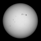 Sonne 05.02.2026 - 8" Newton Skywatcher Quattro - Touptek 2600 Color - Weißlicht