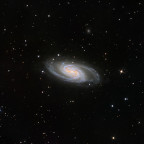 NGC2903