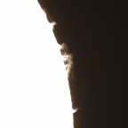 Sonne vom 30.04.2026 in Halpha