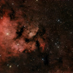 NGC7822 (Fragezeichennebel) - 2 Stunden - nur RGB - OSC ToupTek 2600 Color - Skywatcher 8" Quattro f/4