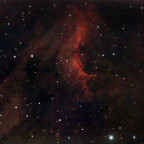 IC5070 Pelikan-Nebel mit der Vaonis Stellina