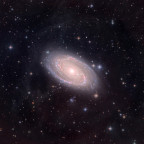 M 81