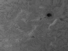 Ha-sonne- FH 120/1000_D-ERF-Sundancer II- TS 0,5 reducer-Mars290MM